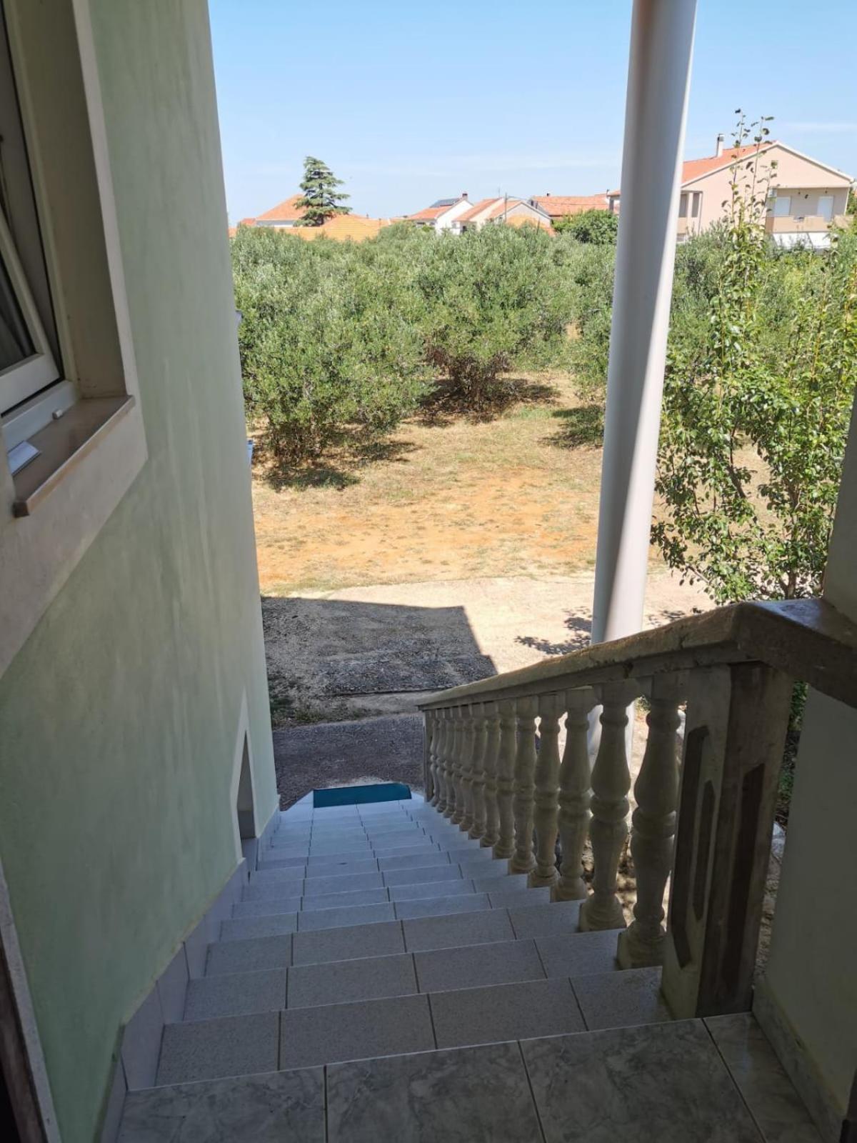 Apartment Tereza